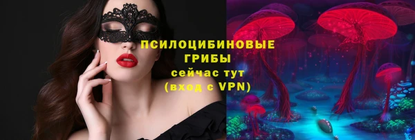 ALPHA-PVP Аркадак
