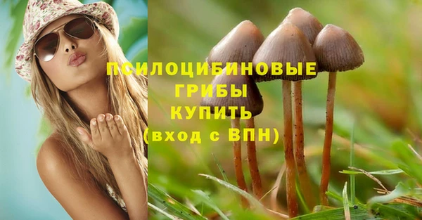 гидра Армянск