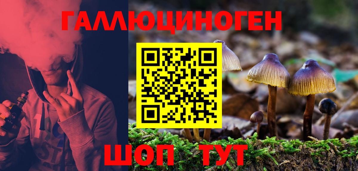 Галлюциногенные грибы мухоморы Солнечногорск