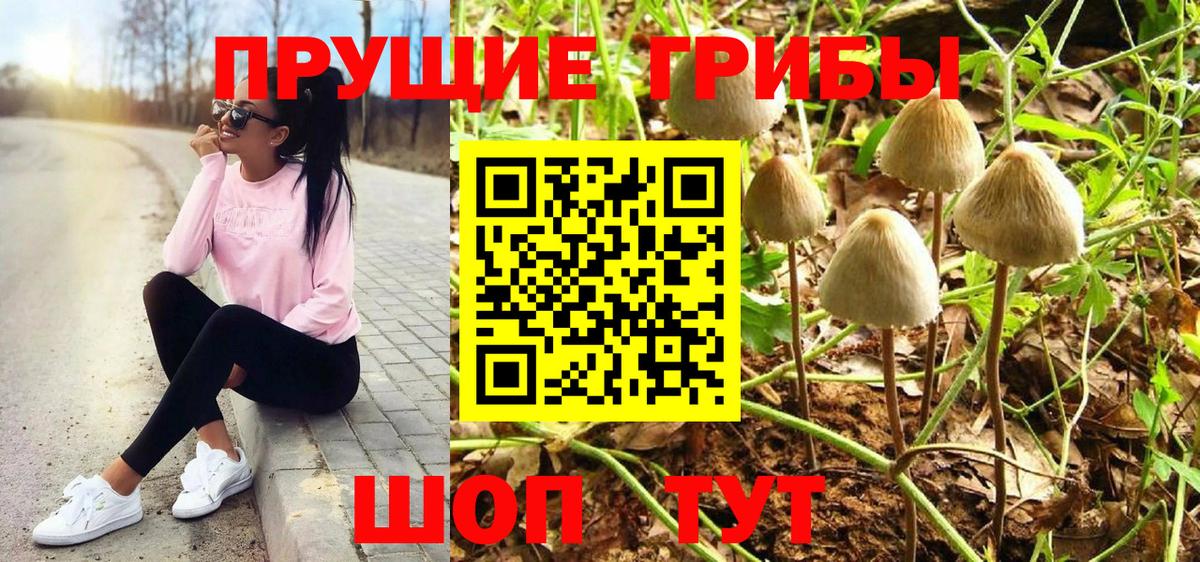 Солнечногорск  Галлюциногенные грибы Magic Shrooms  Вход с VPN  Псилоцибиновые грибы Psilocybine cubensis 